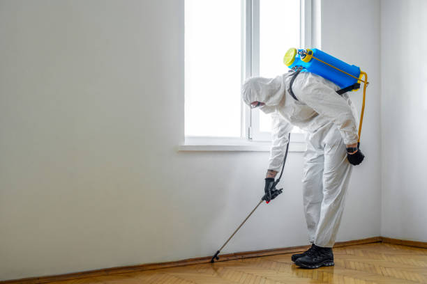 Indoor Pest Control in St Ignace, MI